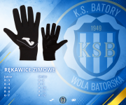 BATORY RĘKAWICE.png