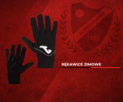 SŁOMNIKI RĘKAWICE.png